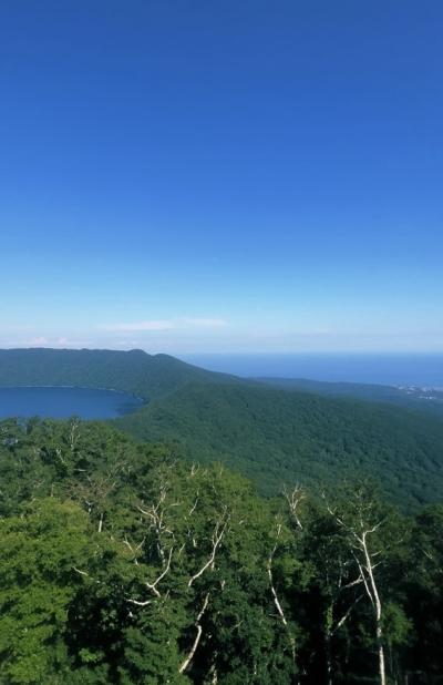 亜呂 (49) 水戸 萬天堂 / 出張性感マッサージ