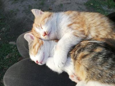 Natsu (27) 岡山 萬天堂 / 出張性感マッサージ