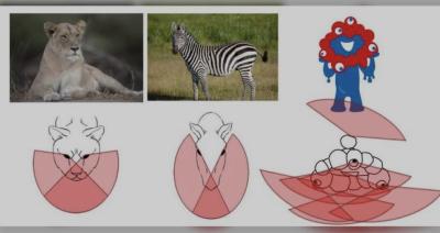 然 (41) 千葉 萬天堂 / 出張性感マッサージ