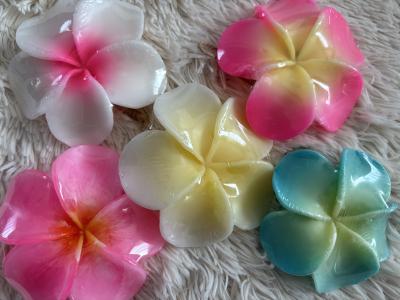 R (60) 近江 萬天堂 / 出張性感マッサージ