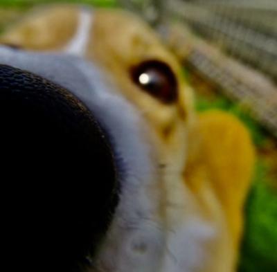 みなと (30) 東京 萬天堂 / 出張性感マッサージ