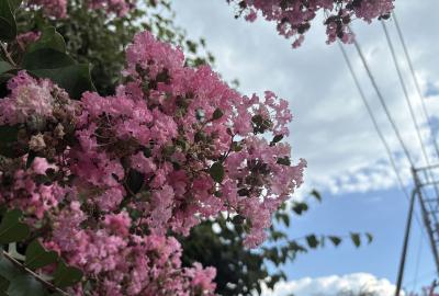 のん (25) 高崎 萬天堂 / 出張性感マッサージ