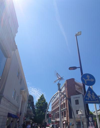 SINKA (50) 東京 萬天堂 / 出張性感マッサージ