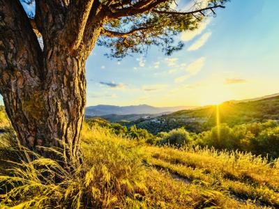 椎名 (52) 東京 萬天堂 / 出張性感マッサージ