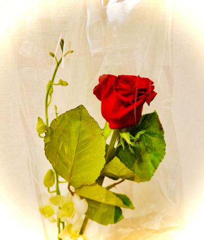 賢人 (32) 大宮 萬天堂 / 出張性感マッサージ