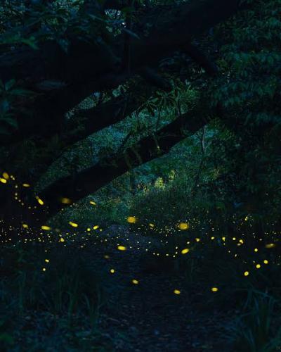 恭介 (48) 京都 萬天堂 / 出張性感マッサージ