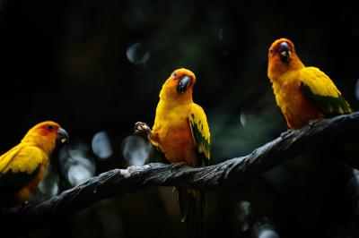 和正 (49) 名古屋 萬天堂 / 出張性感マッサージ