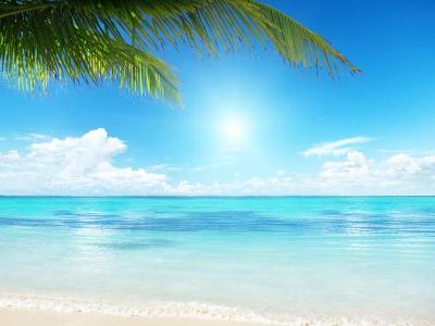 白玖 (40) 浜松 萬天堂 / 出張性感マッサージ