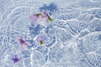 龍生 (47) 大宮 萬天堂 / 出張性感マッサージ