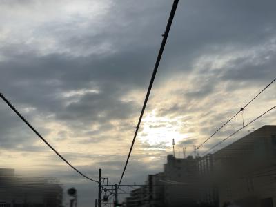 シルク (41) 東京 萬天堂 / 出張性感マッサージ