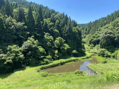 東城 (32) 秋田 萬天堂 / 出張性感マッサージ