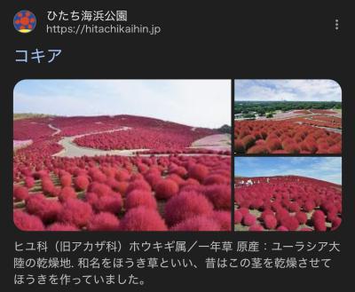 賢人 (32) 大宮 萬天堂 / 出張性感マッサージ