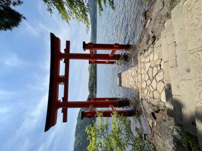 サトシ (44) 大宮 萬天堂 / 出張性感マッサージ