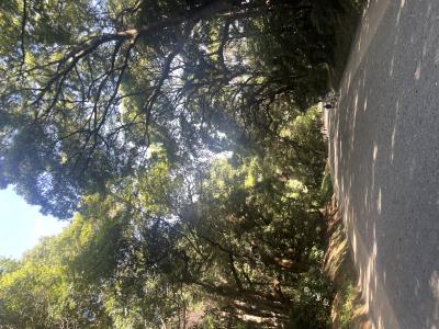 琥珀 (35) 新潟 萬天堂 / 出張性感マッサージ