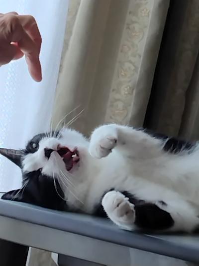 颯真 (39) 福岡 萬天堂 / 出張性感マッサージ