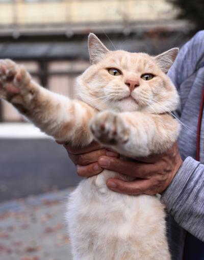 MIYABI (40) 信州 萬天堂 / 出張性感マッサージ