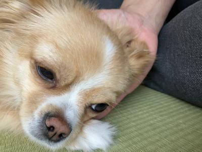 とも (32) 京都 萬天堂 / 出張性感マッサージ