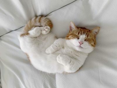 MIYABI (40) 信州 萬天堂 / 出張性感マッサージ