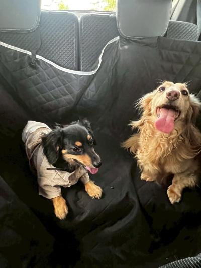 風羽 (34) 京都 萬天堂 / 出張性感マッサージ