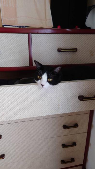 颯真 (39) 福岡 萬天堂 / 出張性感マッサージ