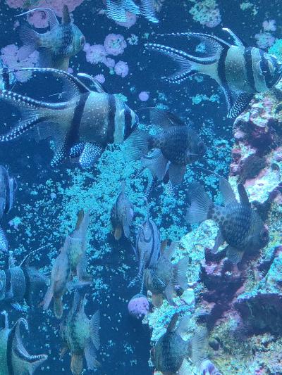 駿 (42) 大宮 萬天堂 / 出張性感マッサージ