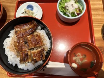 2025/08/23(土) ミナト (29) 長崎県（出張性感マッサージ