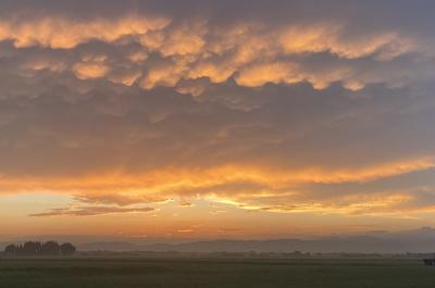 東城 (32) 秋田 萬天堂 / 出張性感マッサージ