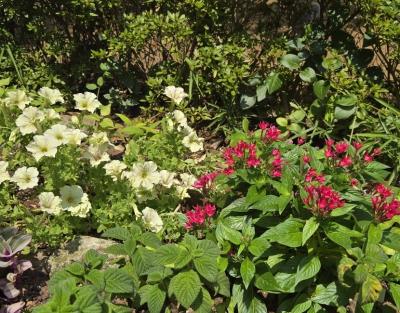 なおと (57) 東京 萬天堂 / 出張性感マッサージ