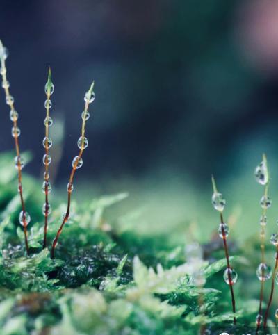 三日月 (32) 大阪 萬天堂 / 出張性感マッサージ