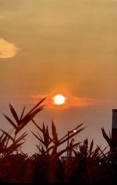 亜呂 (49) 水戸 萬天堂 / 出張性感マッサージ