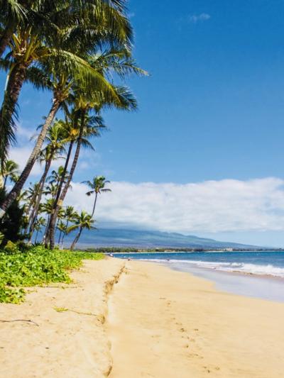 椎名 (52) 東京 萬天堂 / 出張性感マッサージ