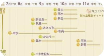 然 (41) 千葉 萬天堂 / 出張性感マッサージ