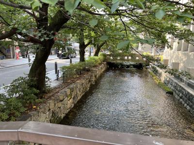 ホシノ (32) 京都 萬天堂 / 出張性感マッサージ