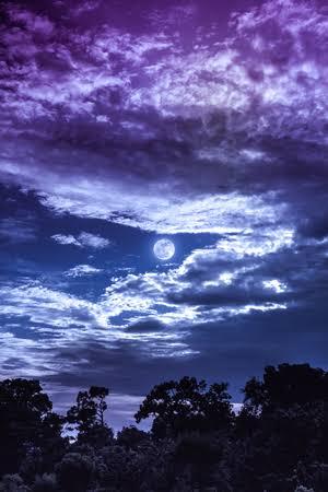 恭介 (48) 京都 萬天堂 / 出張性感マッサージ