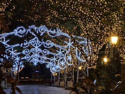 れんと (29) 大阪 萬天堂 / 出張性感マッサージ