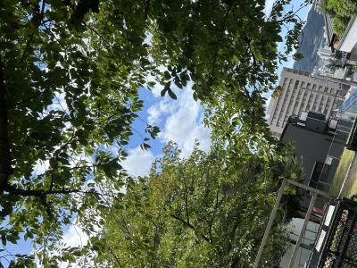 凪葵 (35) 長崎 萬天堂 / 出張性感マッサージ