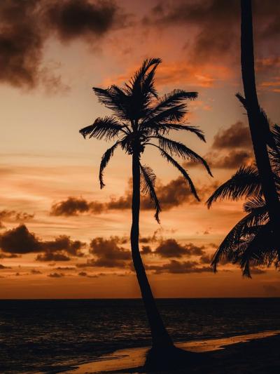 椎名 (52) 東京 萬天堂 / 出張性感マッサージ