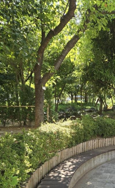 なおと (57) 東京 萬天堂 / 出張性感マッサージ