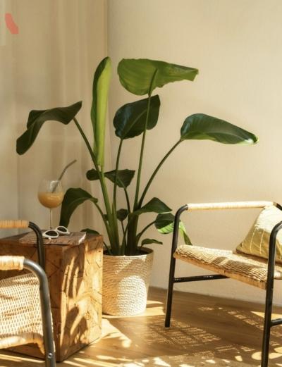 なおと (57) 東京 萬天堂 / 出張性感マッサージ