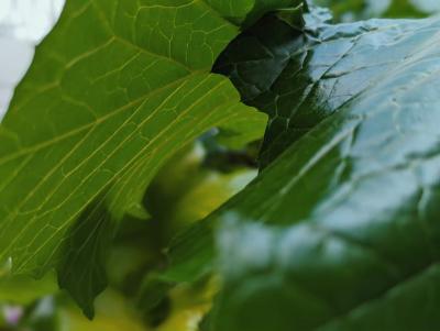 啓介 (30) 岐阜 萬天堂 / 出張性感マッサージ