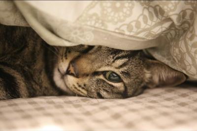 なおと (57) 東京 萬天堂 / 出張性感マッサージ