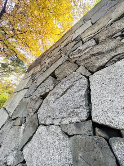 音 (33) 東京 萬天堂 / 出張性感マッサージ