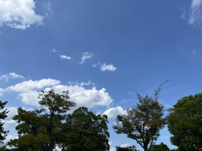 ホシノ (32) 京都 萬天堂 / 出張性感マッサージ