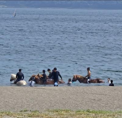 なおと (57) 東京 萬天堂 / 出張性感マッサージ