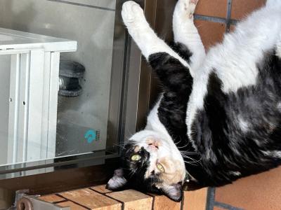 凪葵 (35) 長崎 萬天堂 / 出張性感マッサージ