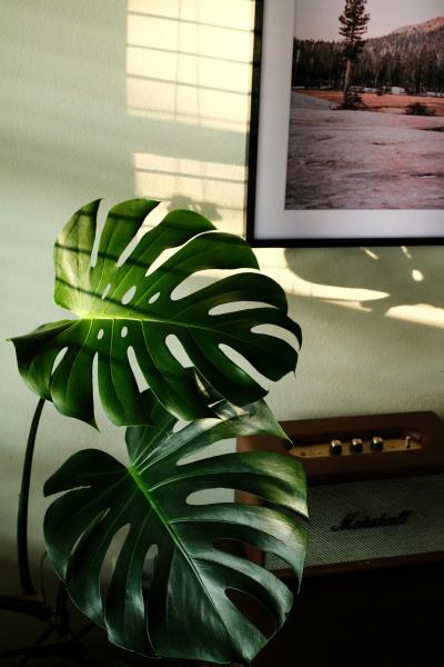 なおと (57) 東京 萬天堂 / 出張性感マッサージ