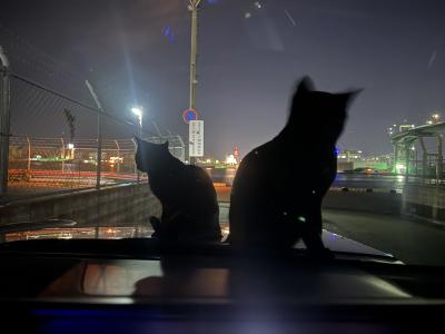 哲也 (51) 福岡 萬天堂 / 出張性感マッサージ