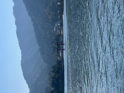 サトシ (44) 大宮 萬天堂 / 出張性感マッサージ