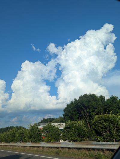 Vivi (33) 福岡 萬天堂 / 出張性感マッサージ