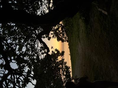 ソウ (35) 広島 萬天堂 / 出張性感マッサージ